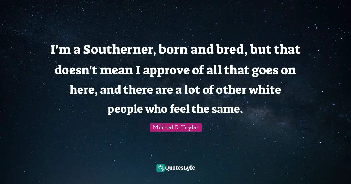 I'm a Southerner, born and bred, but that doesn't mean I approve of all that goes on here, and there are a lot of other white people who feel the same.