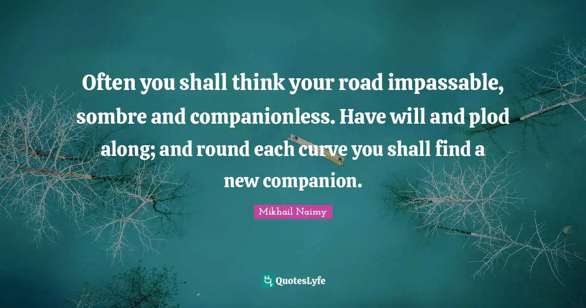 Often you shall think your road impassable, sombre and companionless. Have will and plod along; and round each curve you shall find a new companion.