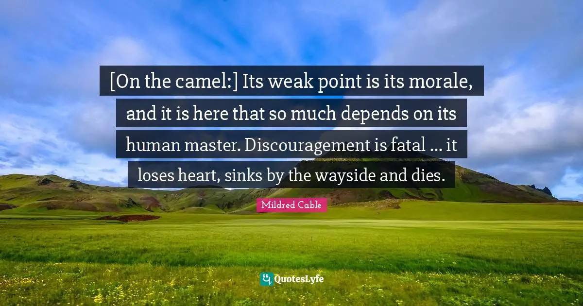 Camels Quotes: "[On the camel:] Its weak point is its morale, and it is here that so much depends on its human master. Discouragement is fatal ... it loses heart, sinks by the wayside and dies."