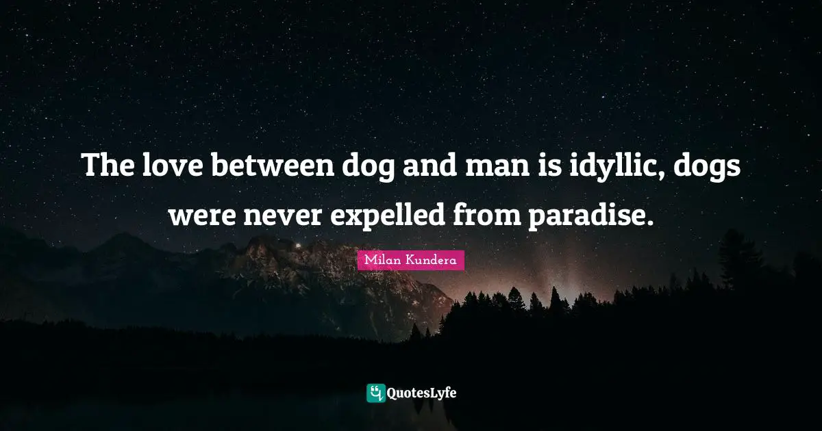The love between dog and man is idyllic, dogs were never expelled from paradise.
