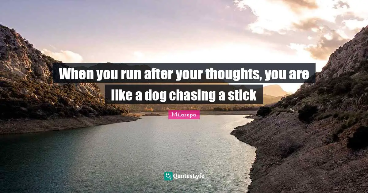 Sticks Quotes: "When you run after your thoughts, you are like a dog chasing a stick"