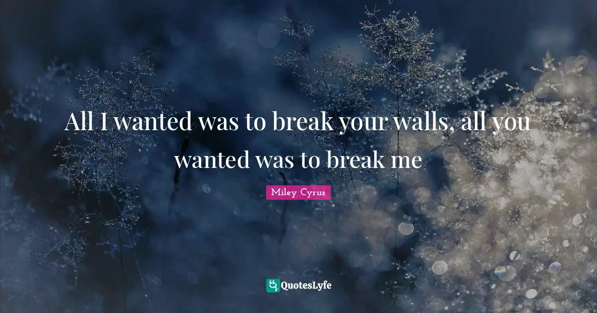 All I wanted was to break your walls, all you wanted was to break me