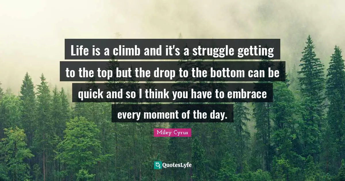 Life is a climb and it's a struggle getting to the top but the drop to the bottom can be quick and so I think you have to embrace every moment of the day.
