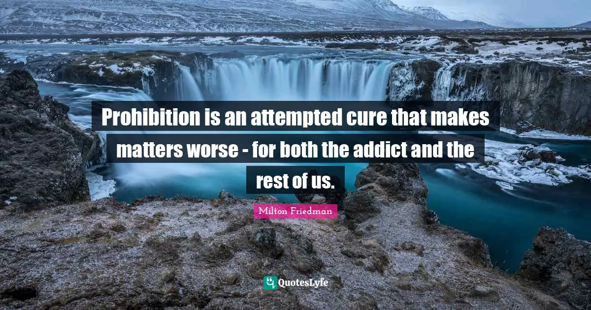 Prohibition is an attempted cure that makes matters worse - for both the addict and the rest of us.