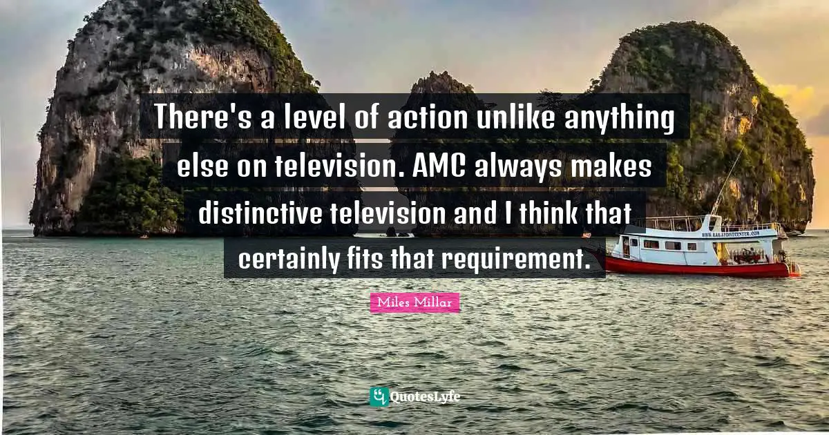 There's a level of action unlike anything else on television. AMC always makes distinctive television and I think that certainly fits that requirement.