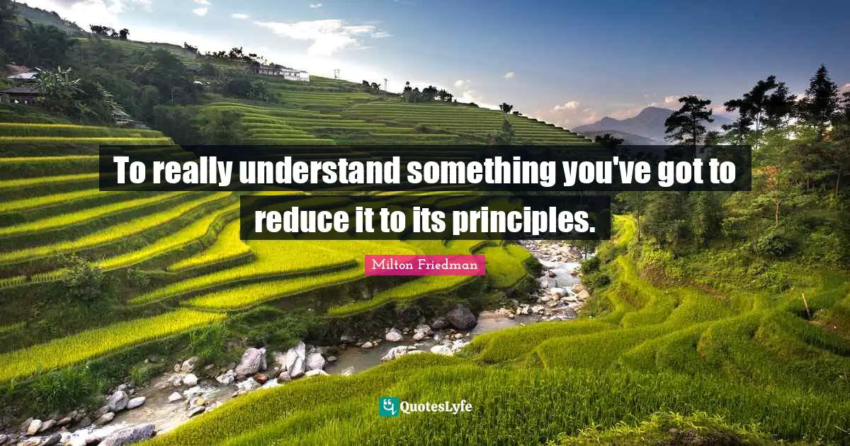 To really understand something you've got to reduce it to its principles.