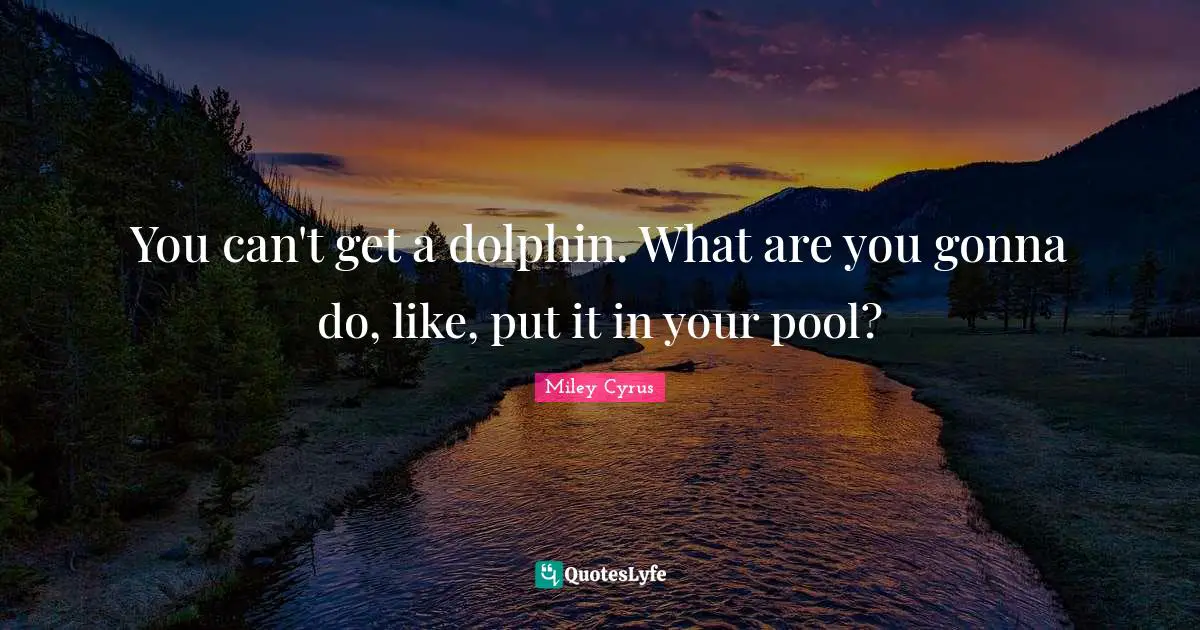 You can't get a dolphin. What are you gonna do, like, put it in your pool?