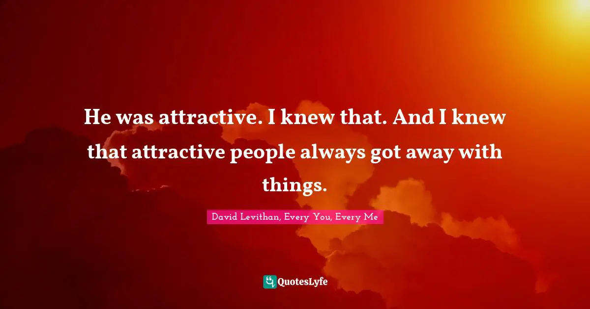He was attractive. I knew that. And I knew that attractive people always got away with things.