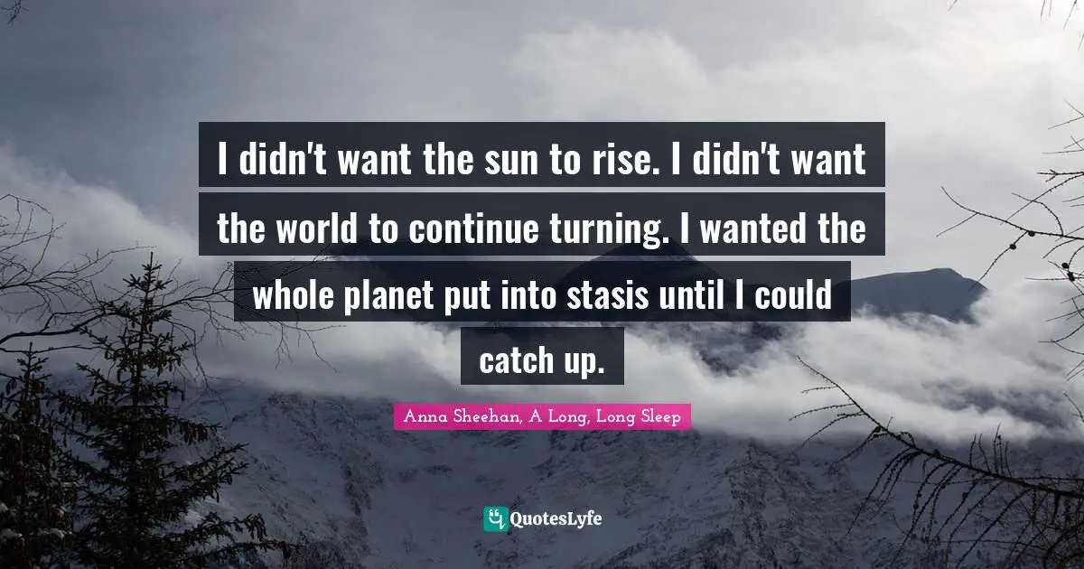 I didn't want the sun to rise. I didn't want the world to continue turning. I wanted the whole planet put into stasis until I could catch up.