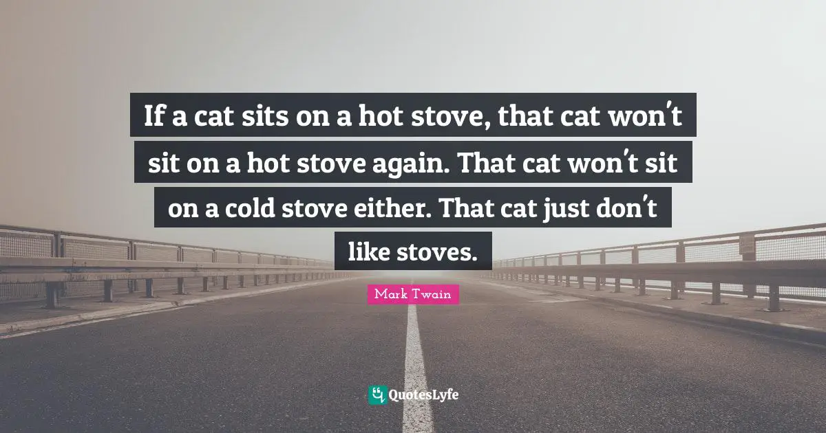 If a cat sits on a hot stove, that cat won't sit on a hot stove again. That cat won't sit on a cold stove either. That cat just don't like stoves.