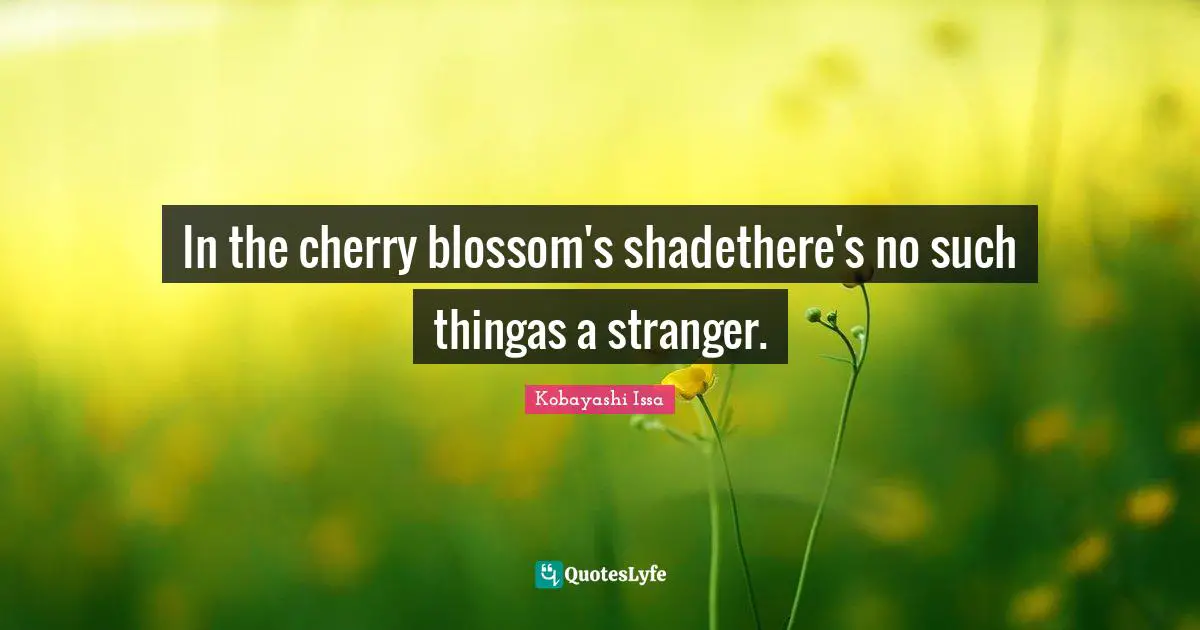 Kobayashi Issa Quotes: "In the cherry blossom's shadethere's no such thingas a stranger."