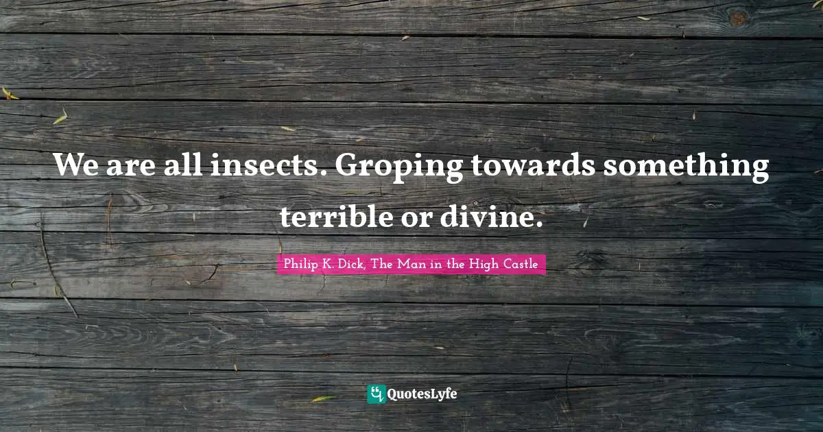 We are all insects. Groping towards something terrible or divine.