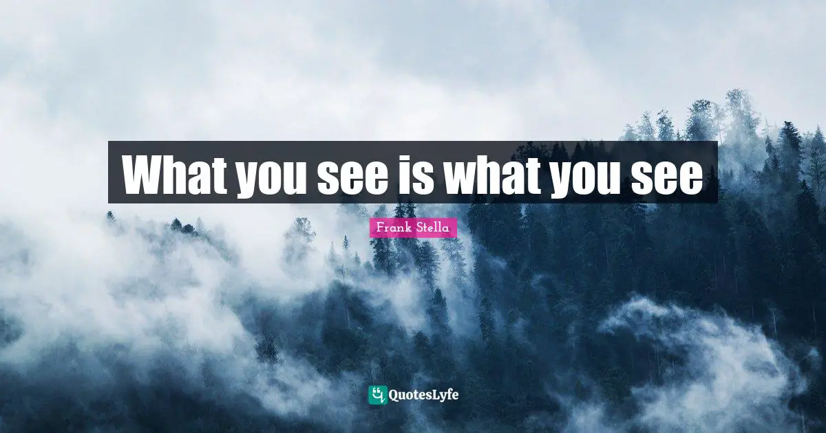 What you see is what you see