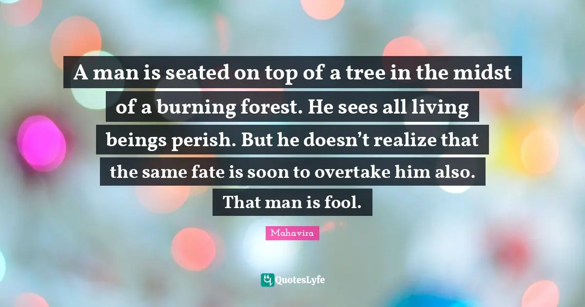 A man is seated on top of a tree in the midst of a burning forest. He sees all living beings perish. But he doesn’t realize that the same fate is soon to overtake him also. That man is fool.