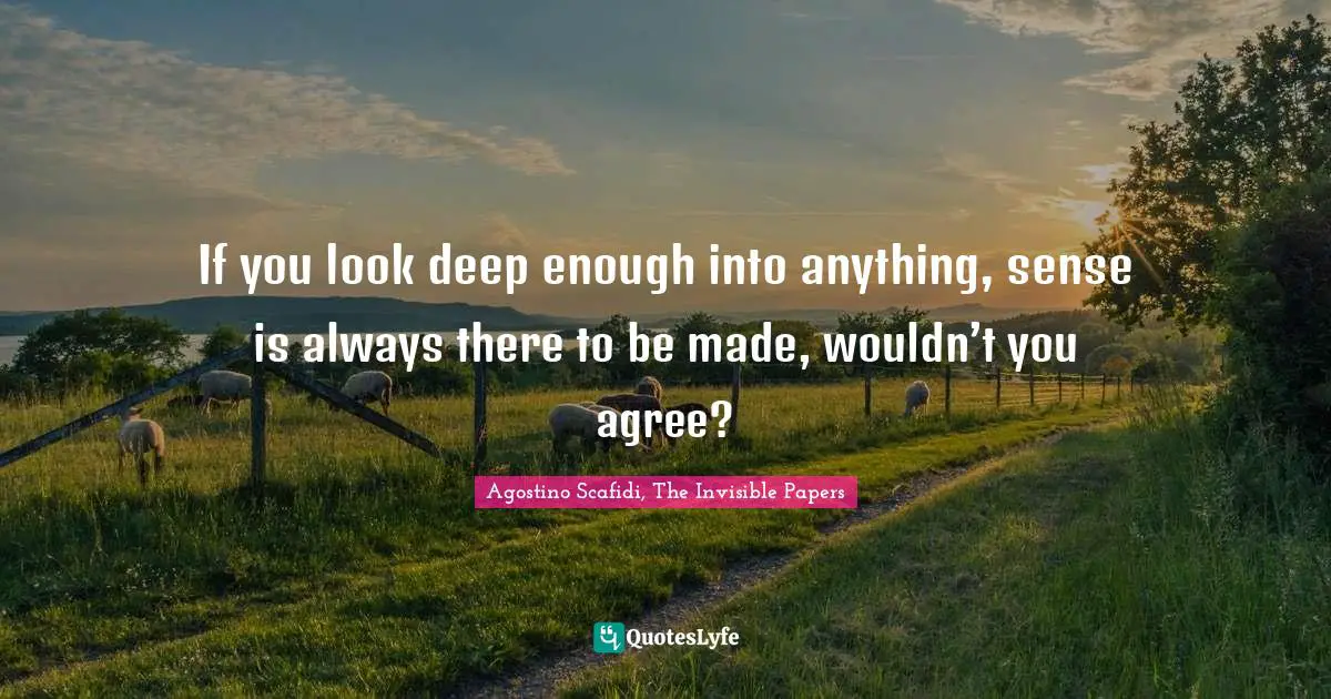 If you look deep enough into anything, sense is always there to be made, wouldn’t you agree?