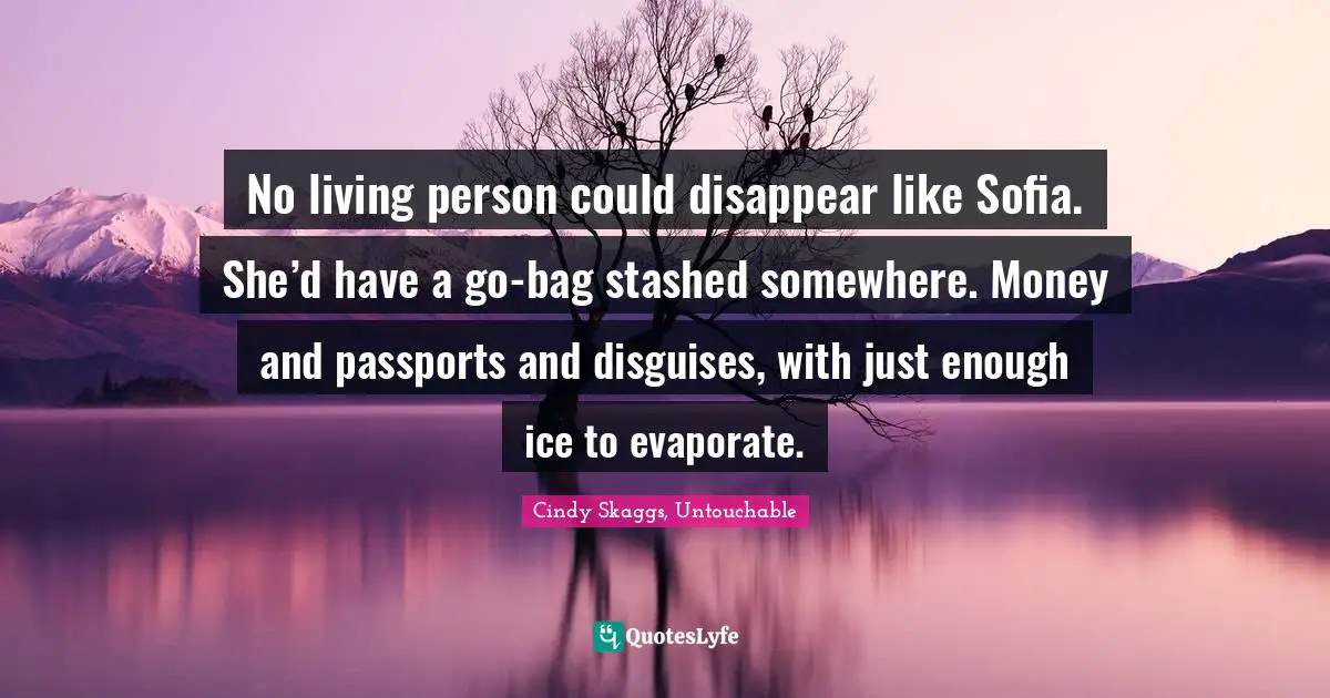 Untouchable Quotes: "No living person could disappear like Sofia. She’d have a go-bag stashed somewhere. Money and passports and disguises, with just enough ice to evaporate."