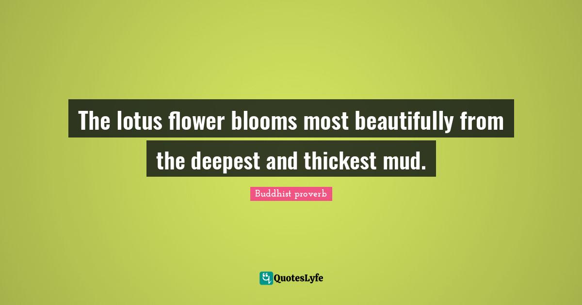 The lotus flower blooms most beautifully from the deepest and thickest mud.