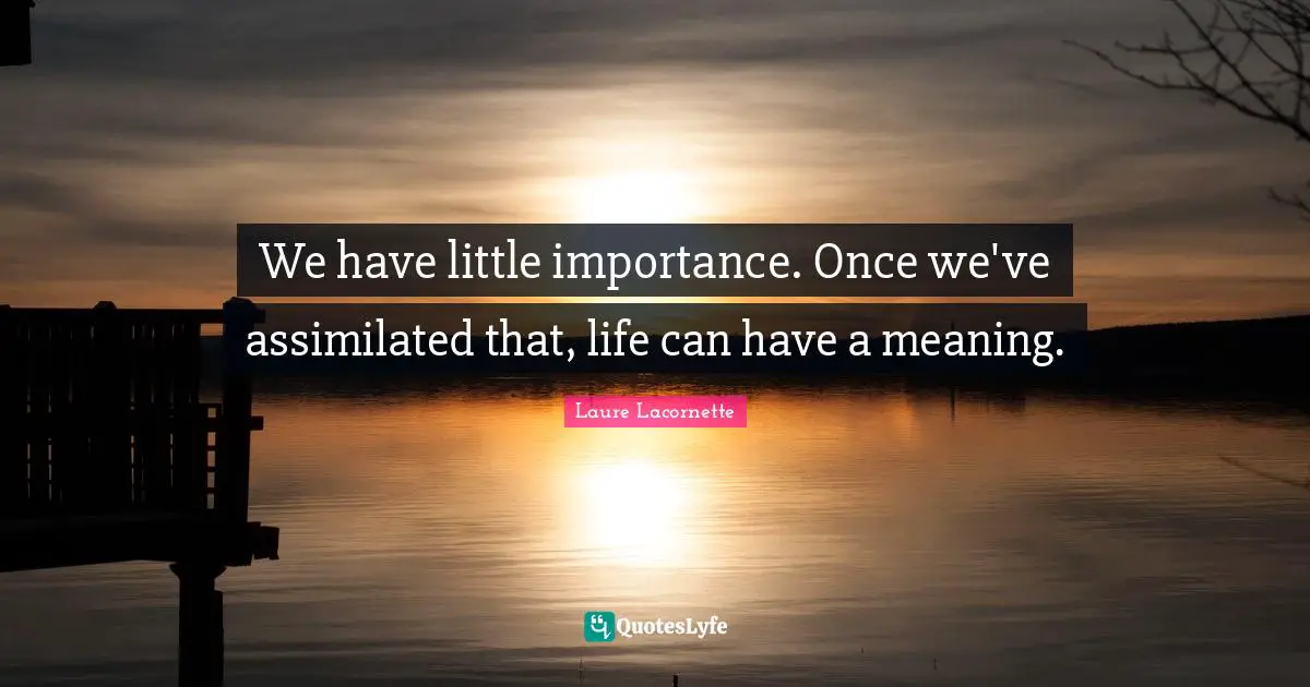 We have little importance. Once we've assimilated that, life can have a meaning.