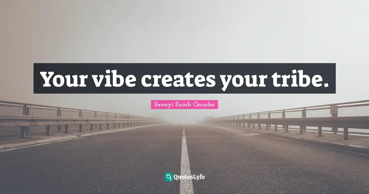 Your vibe creates your tribe.