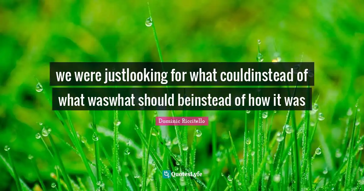 Dominic Riccitello Quotes: we were justlooking for what couldinstead of what waswhat should beinstead of how it was