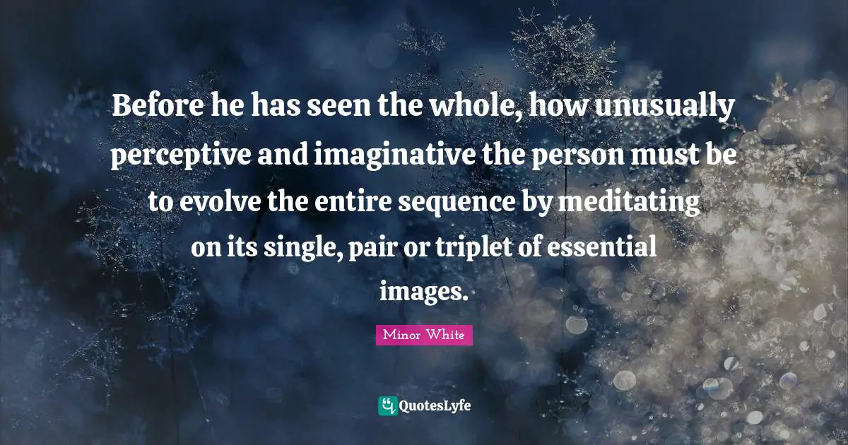 Sequence Quotes: "Before he has seen the whole, how unusually perceptive and imaginative the person must be to evolve the entire sequence by meditating on its single, pair or triplet of essential images."