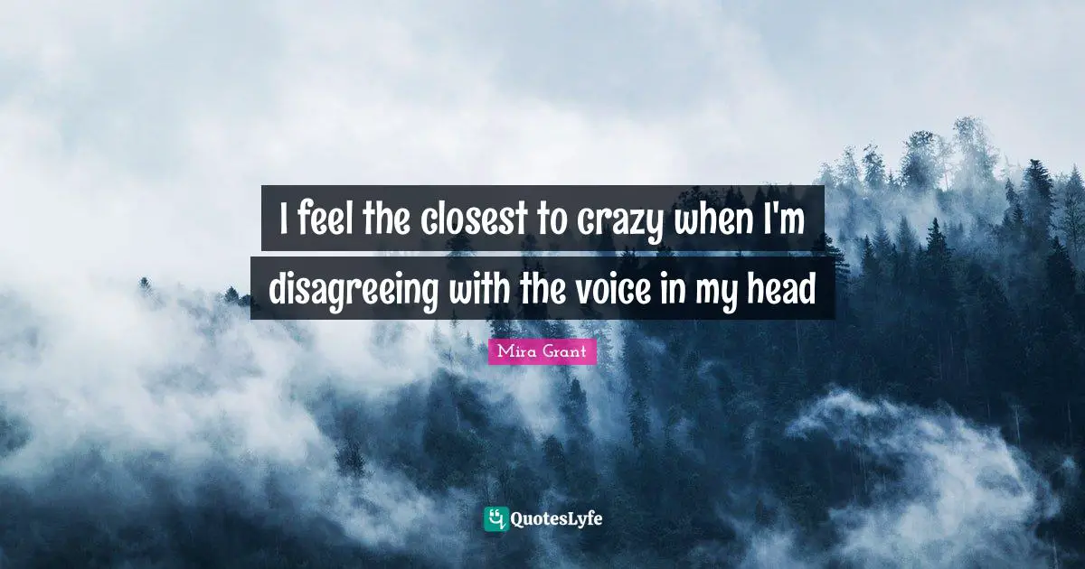 I feel the closest to crazy when I'm disagreeing with the voice in my head
