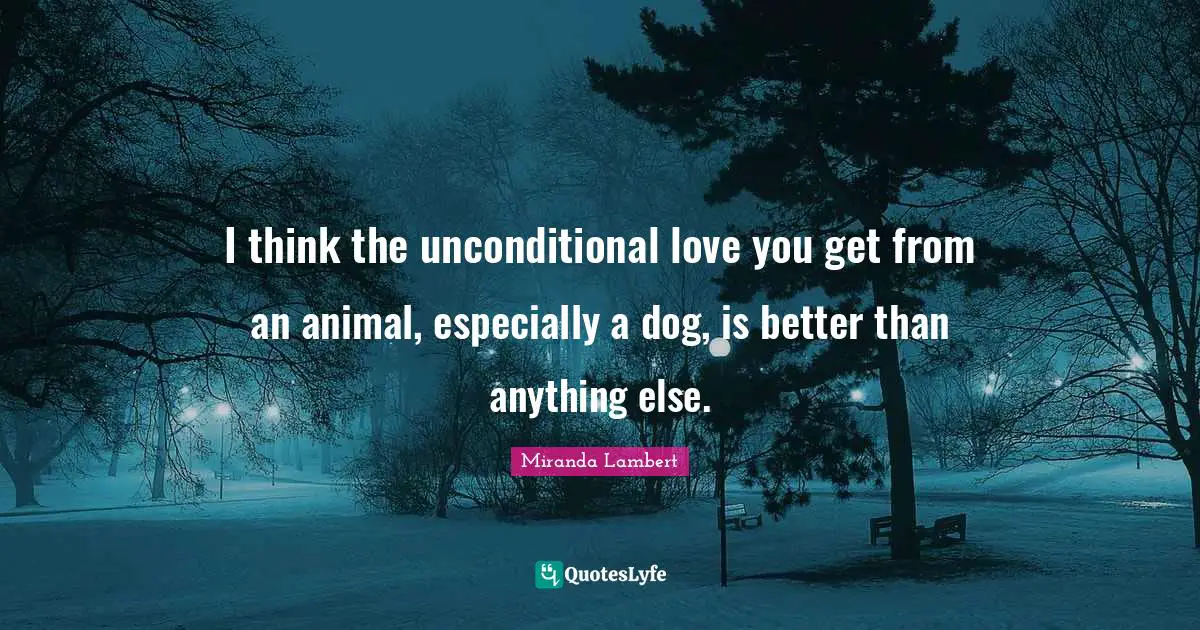Miranda Lambert Quotes: "I think the unconditional love you get from an animal, especially a dog, is better than anything else."