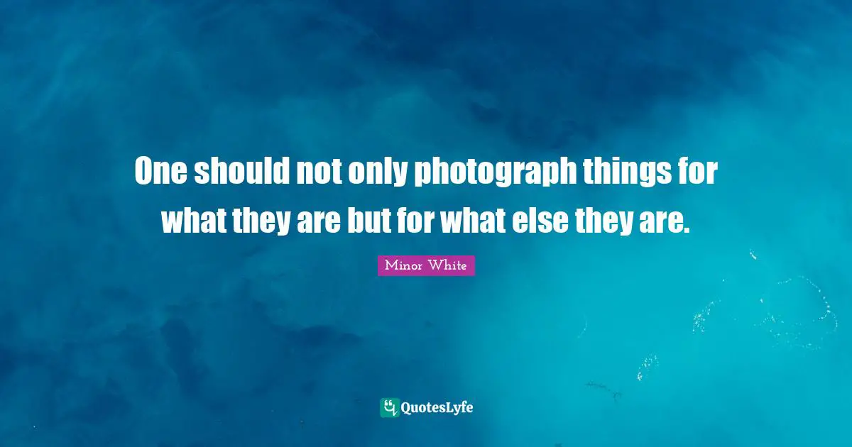 One should not only photograph things for what they are but for what else they are.