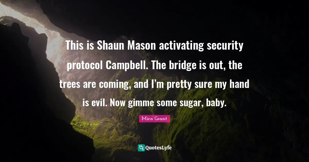 This is Shaun Mason activating security protocol Campbell. The bridge is out, the trees are coming, and I’m pretty sure my hand is evil. Now gimme some sugar, baby.