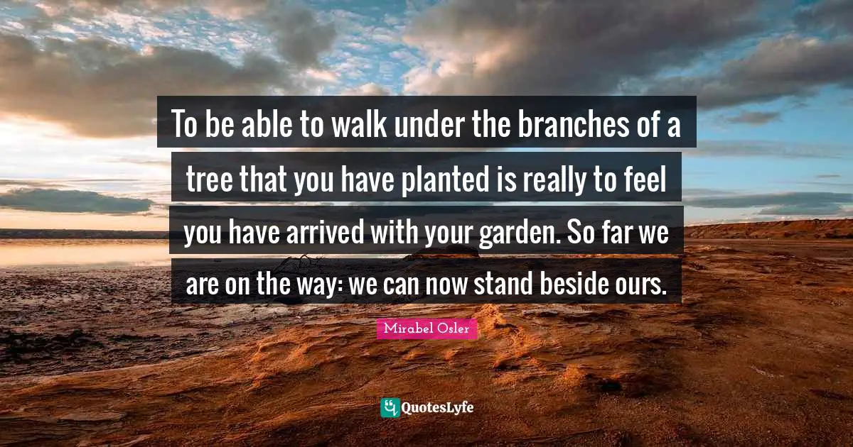 To be able to walk under the branches of a tree that you have planted is really to feel you have arrived with your garden. So far we are on the way: we can now stand beside ours.