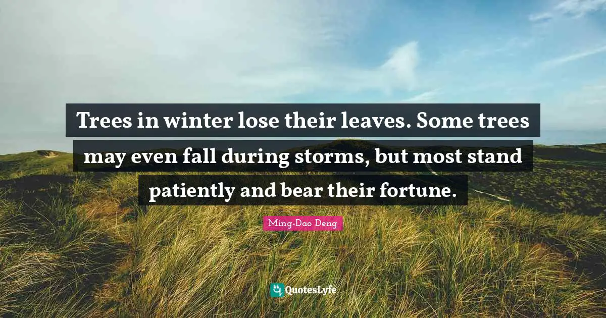 Trees in winter lose their leaves. Some trees may even fall during storms, but most stand patiently and bear their fortune.