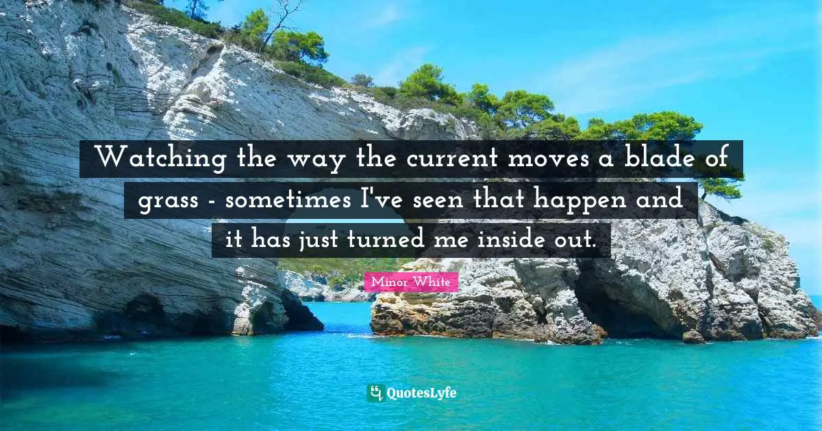 Watching the way the current moves a blade of grass - sometimes I've seen that happen and it has just turned me inside out.