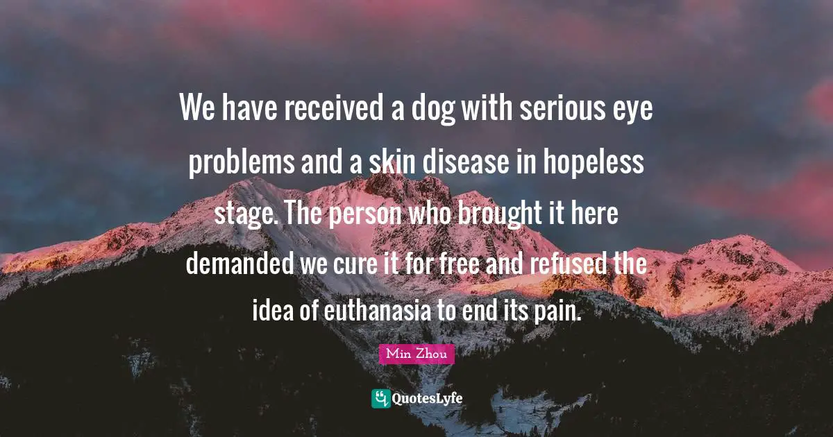 Min Zhou Quotes: We have received a dog with serious eye problems and a skin disease in hopeless stage. The person who brought it here demanded we cure it for free and refused the idea of euthanasia to end its pain.