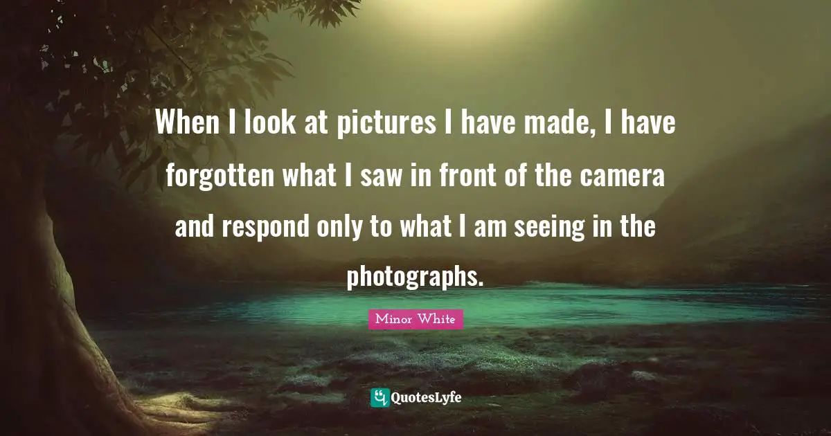 When I look at pictures I have made, I have forgotten what I saw in front of the camera and respond only to what I am seeing in the photographs.