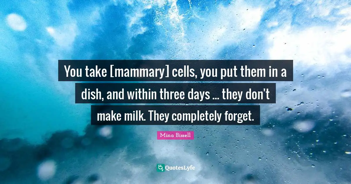 You take [mammary] cells, you put them in a dish, and within three days ... they don't make milk. They completely forget.