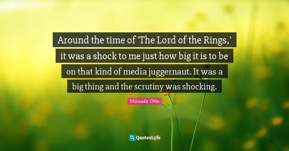 Around the time of 'The Lord of the Rings,' it was a shock to me just how big it is to be on that kind of media juggernaut. It was a big thing and the scrutiny was shocking.