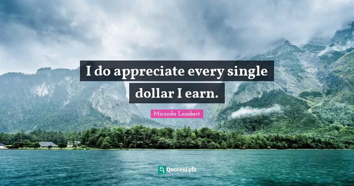 Miranda Lambert Quotes: "I do appreciate every single dollar I earn."