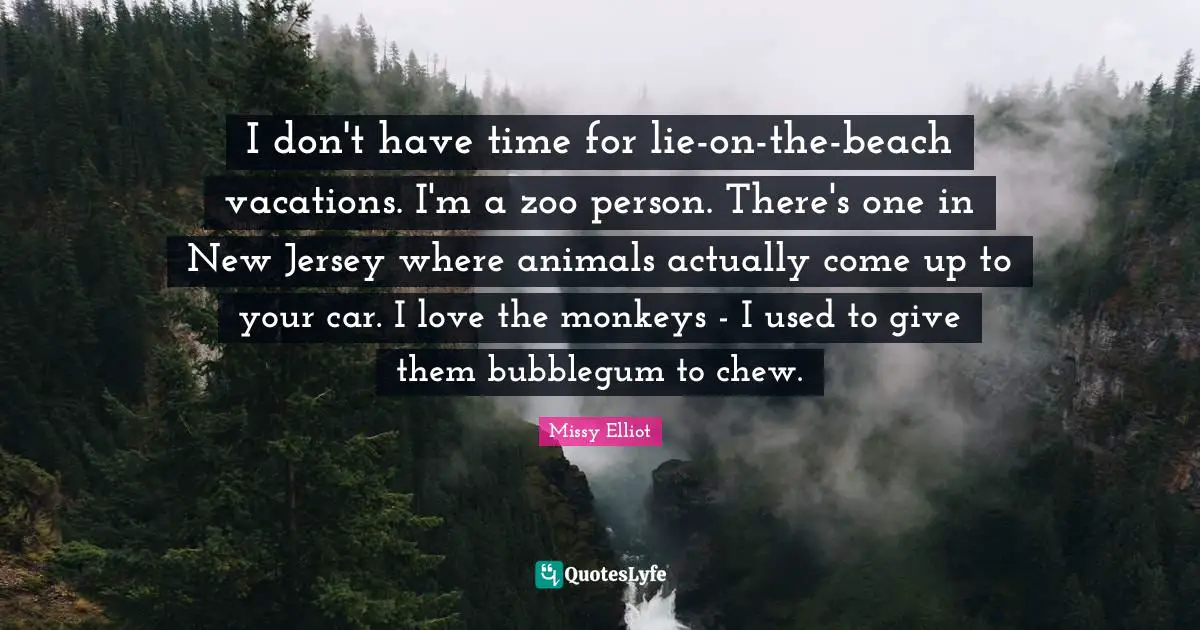 I don't have time for lie-on-the-beach vacations. I'm a zoo person. There's one in New Jersey where animals actually come up to your car. I love the monkeys - I used to give them bubblegum to chew.