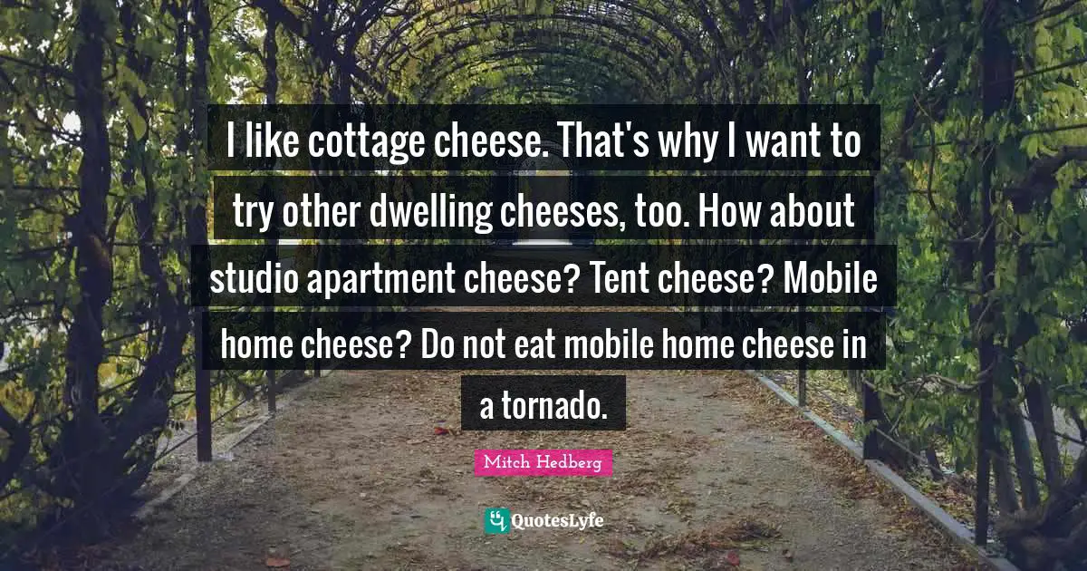 I like cottage cheese. That's why I want to try other dwelling cheeses, too. How about studio apartment cheese? Tent cheese? Mobile home cheese? Do not eat mobile home cheese in a tornado.