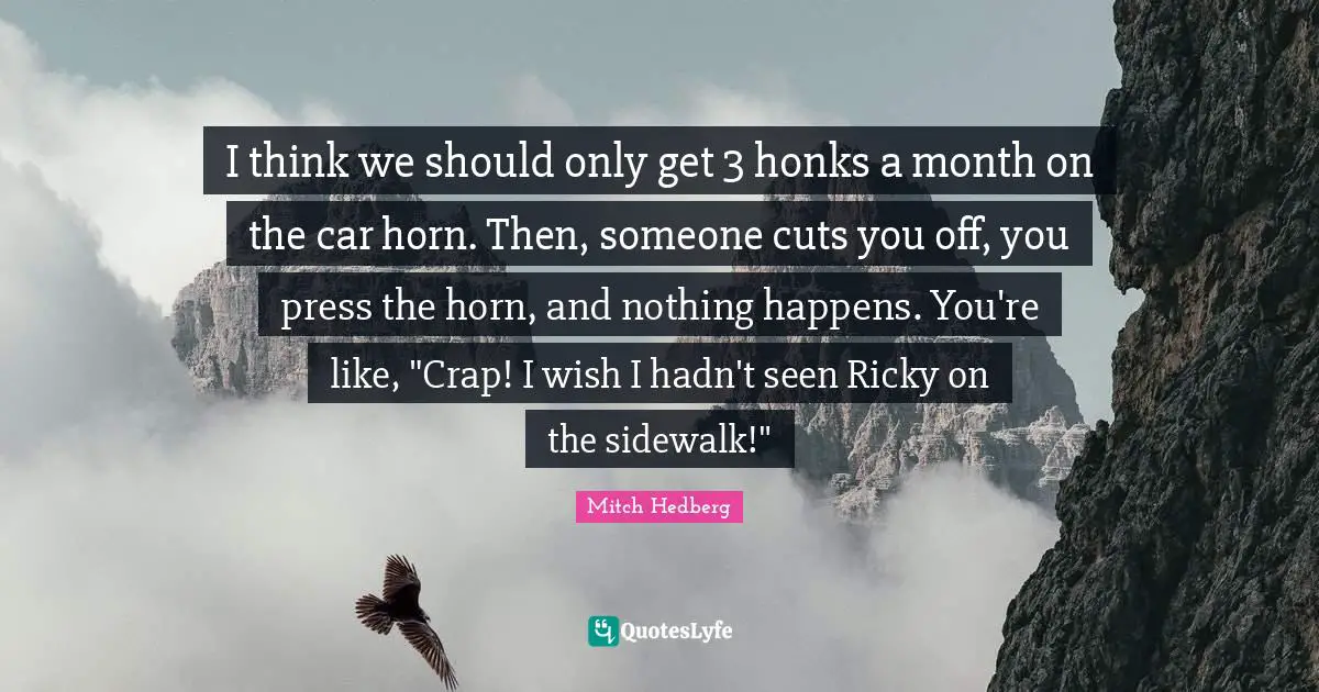 I think we should only get 3 honks a month on the car horn. Then, someone cuts you off, you press the horn, and nothing happens. You're like, "Crap! I wish I hadn't seen Ricky on the sidewalk!"