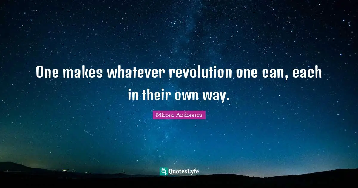 One makes whatever revolution one can, each in their own way.