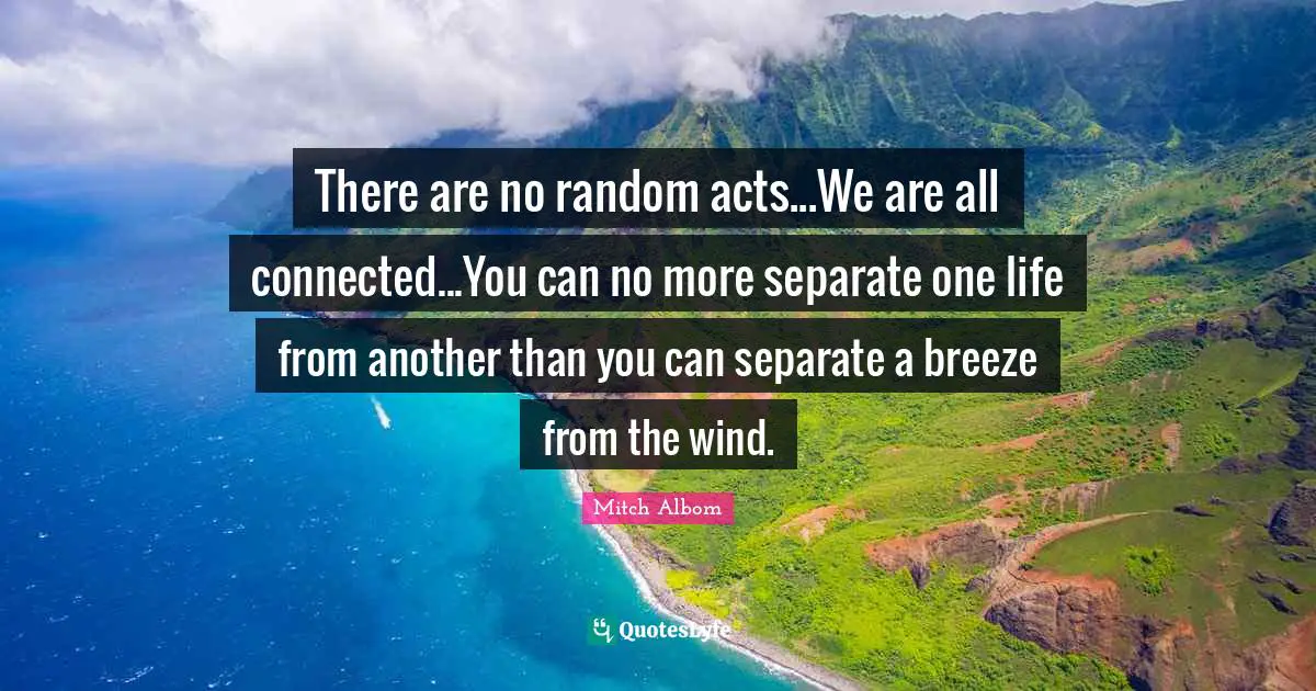 There are no random acts...We are all connected...You can no more separate one life from another than you can separate a breeze from the wind.