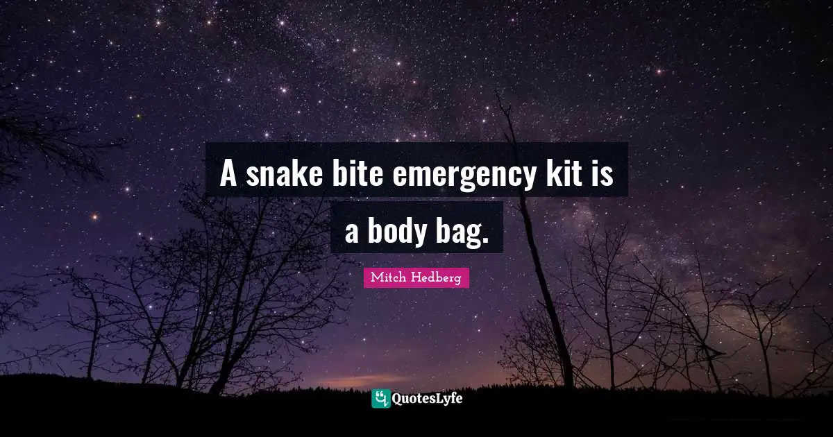 A snake bite emergency kit is a body bag.