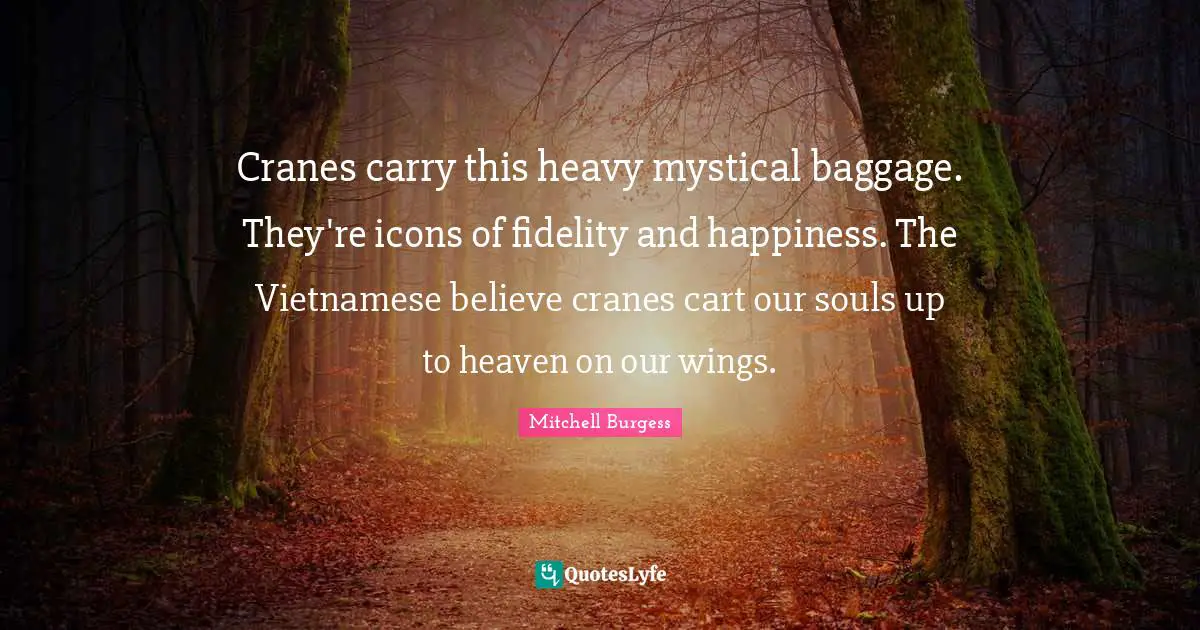 Baggage Quotes: "Cranes carry this heavy mystical baggage. They're icons of fidelity and happiness. The Vietnamese believe cranes cart our souls up to heaven on our wings."