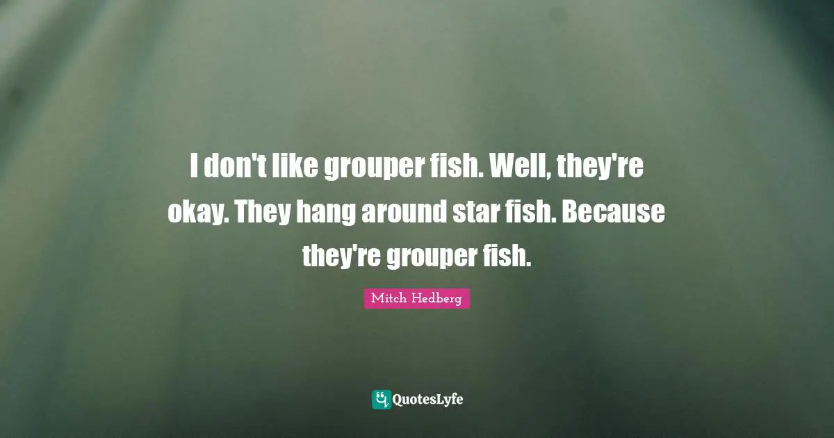 I don't like grouper fish. Well, they're okay. They hang around star fish. Because they're grouper fish.