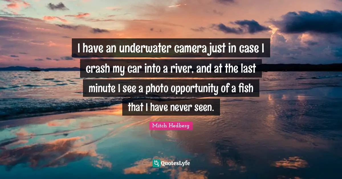 I have an underwater camera just in case I crash my car into a river, and at the last minute I see a photo opportunity of a fish that I have never seen.