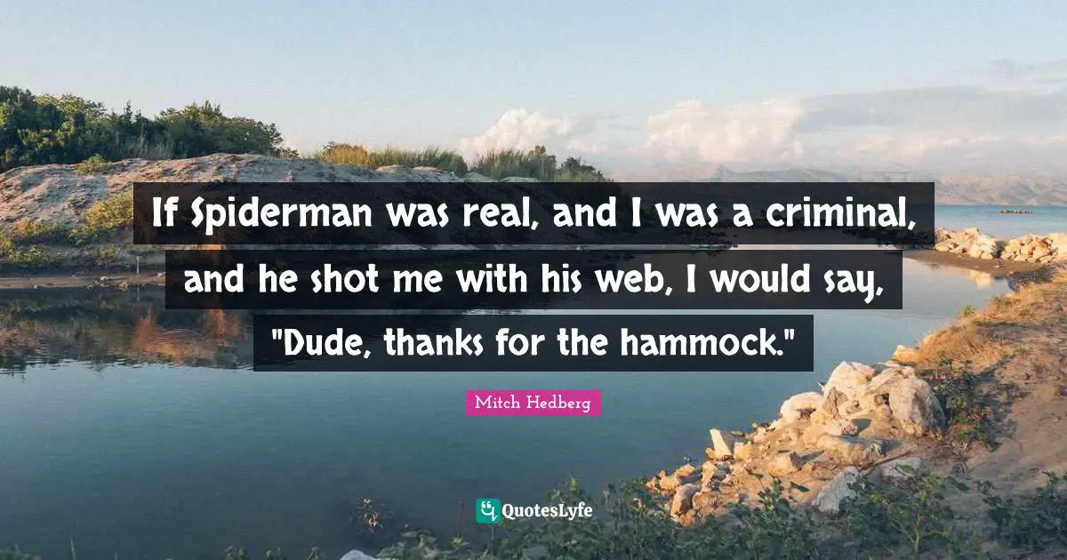 If Spiderman was real, and I was a criminal, and he shot me with his web, I would say, "Dude, thanks for the hammock."