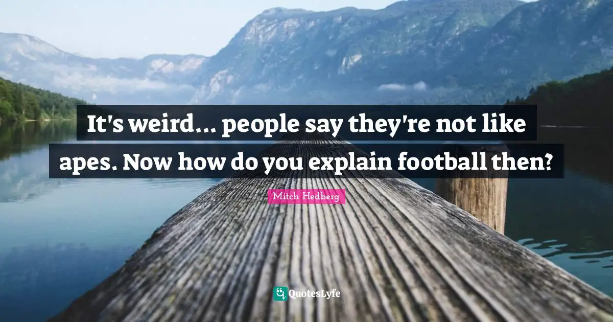 It's weird... people say they're not like apes. Now how do you explain football then?