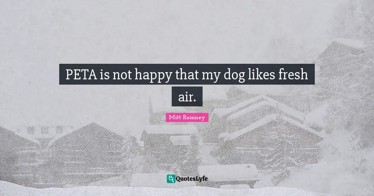 Peta Quotes: "PETA is not happy that my dog likes fresh air."