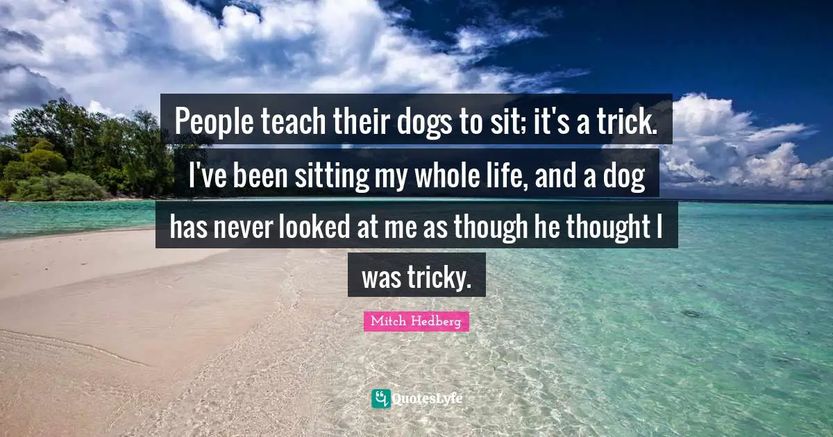 People teach their dogs to sit; it's a trick. I've been sitting my whole life, and a dog has never looked at me as though he thought I was tricky.